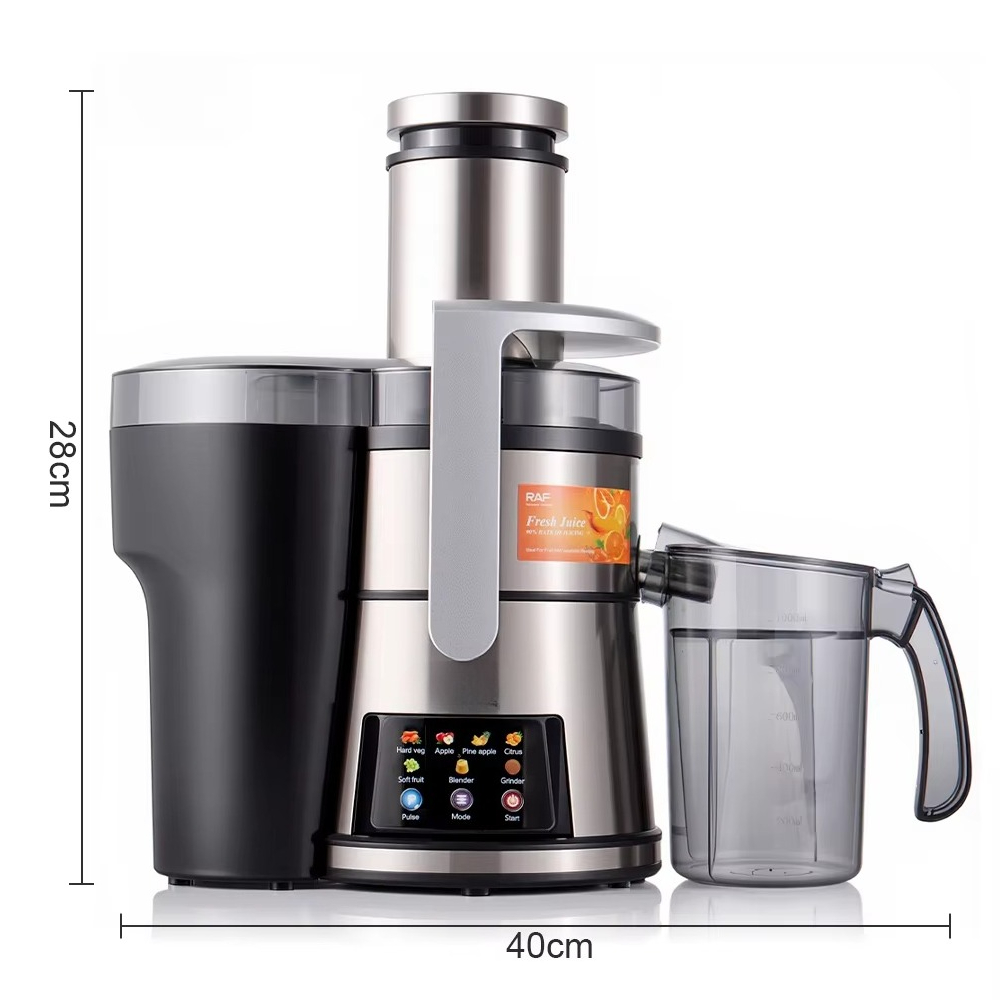 Food Processor Large - RAF 800W 10-in-1 Entsafter, Multifunktionales Küchengerät
